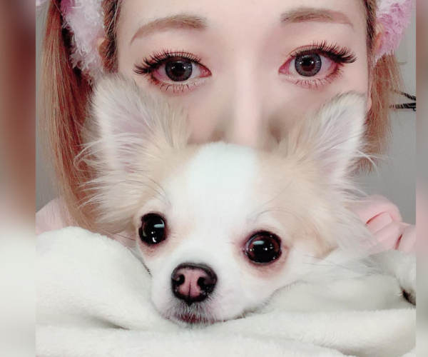 Mitsu Murata adopts ex-wife Sayaka Kanda’s dog