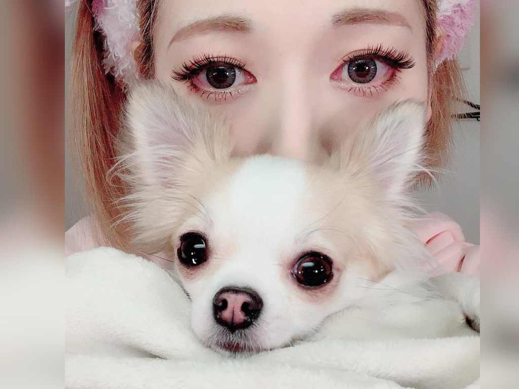 Mitsu Murata adopts ex-wife Sayaka Kanda’s dog