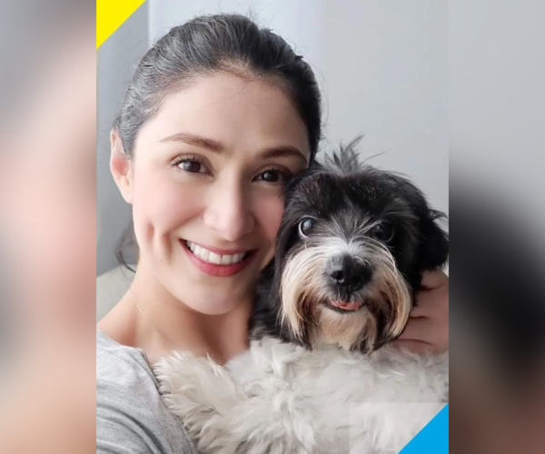 Carla Abellana: Do not leave your pets behind!