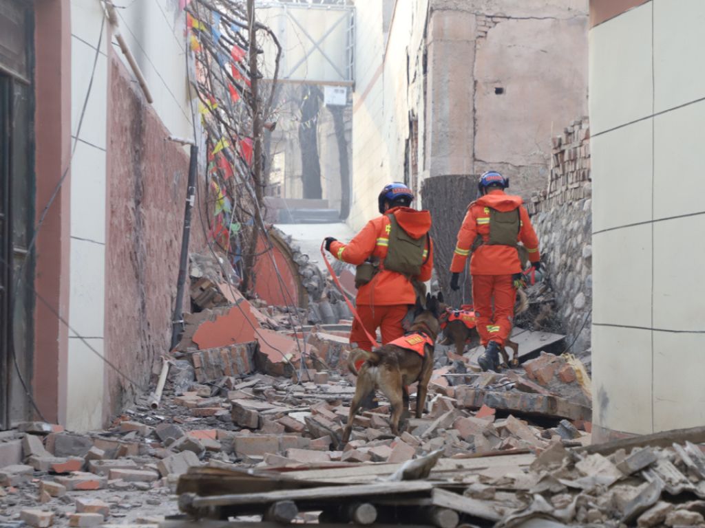 Bona Films denies failure to donate to Gansu earthquake relief