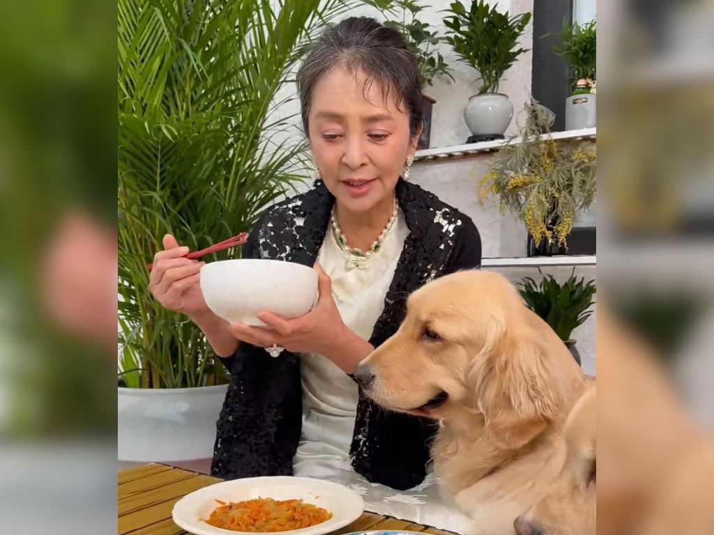 Li Qinqin shares update on Kathy Chow’s two dogs