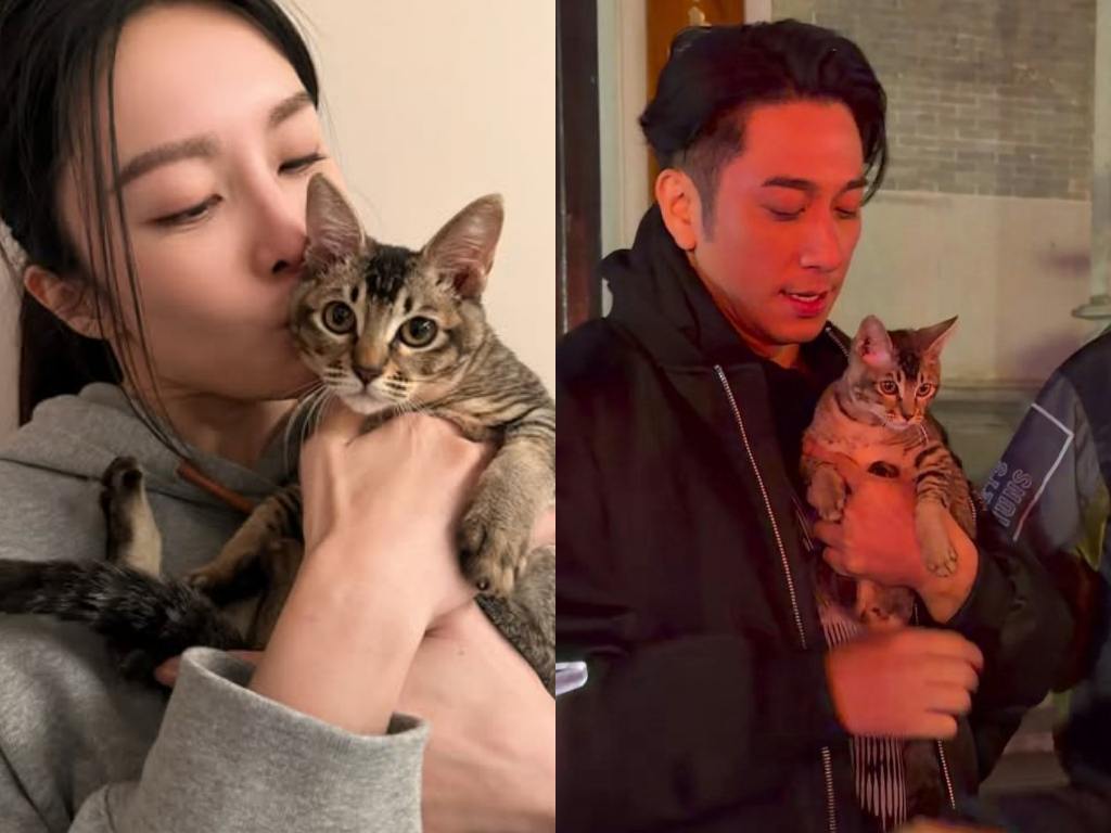 Ron Ng and Kelly Cheung spark romance rumours because of a cat