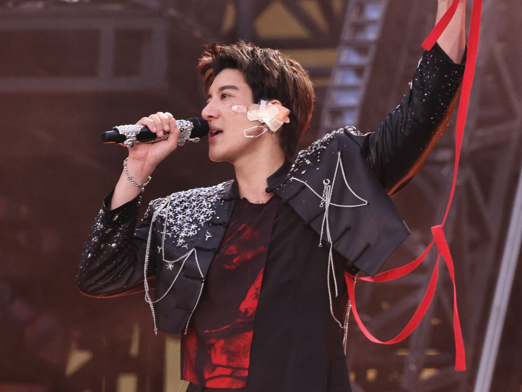 Wang Leehom needed 27 stitches after tripping on safety cable onstage