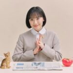 Mana Ashida to star in the Japanese remake of “Extraordinary Attorney Woo”