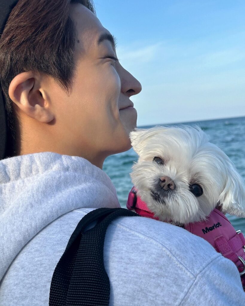 GOT7’s Youngjae donates to dog shelter on 30th birthday | theHive.Asia GOT7’s Youngjae donates to dog shelter on 30th birthday, got7, Youngjae, theHive.Asia, SnapInsta.to 491816015 18478899736067431 3897054560409883561 n